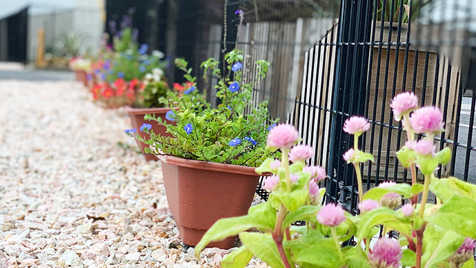 緑化活動の画像